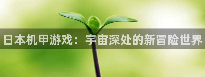 usdt钱包下载官网：日本机甲游戏：宇宙深处的新冒险世界