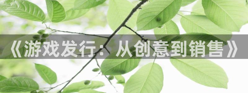 usdt合法：《游戏发行：从创意到销售》