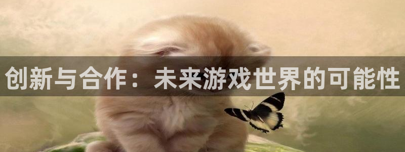 usdt记录查询：创新与合作：未来游戏世界的可能性