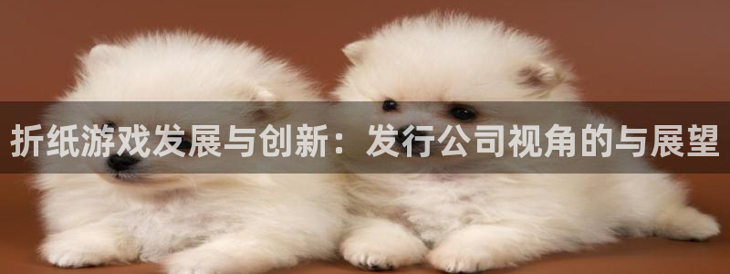 usdt用什么平台交易比较好：折纸游戏发展与创新：发行公司视角的与展望