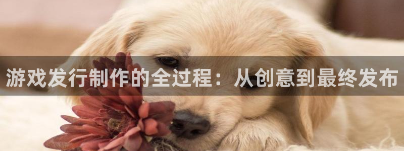 usdt地址查询交易去向：游戏发行制作的全过程：从创意到最终发布