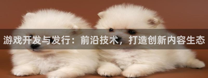 usdt提现要交税吗：游戏开发与发行：前沿技术，打造创新内容生态