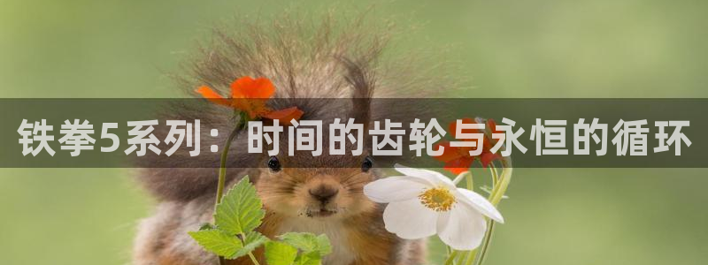 usdt交易所：铁拳5系列：时间的齿轮与永恒的循环