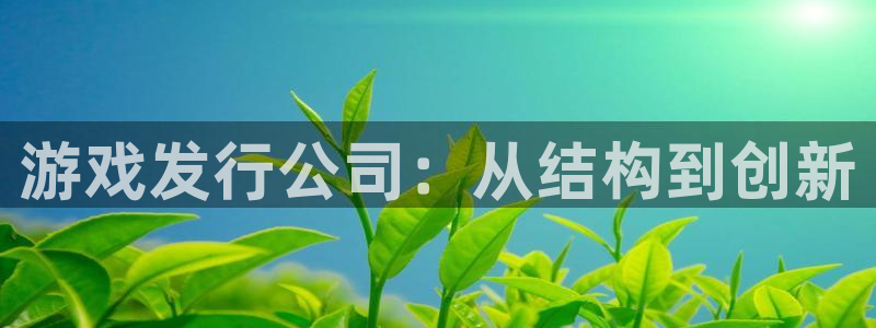 usdt冷钱包怎么提币出来：游戏发行公司：从结构到创新